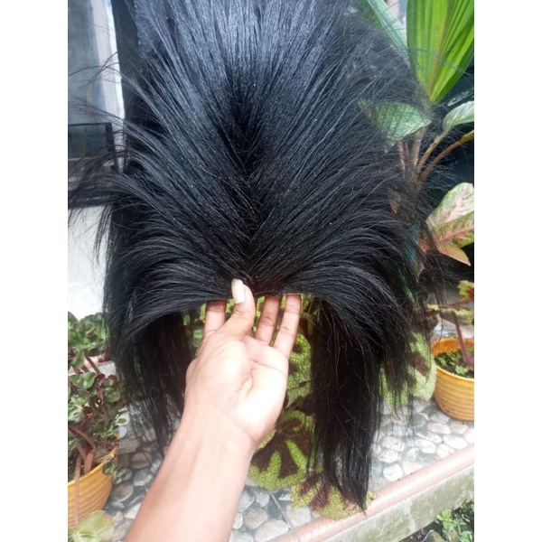 jambul bujang ganong_ganongan_barongan