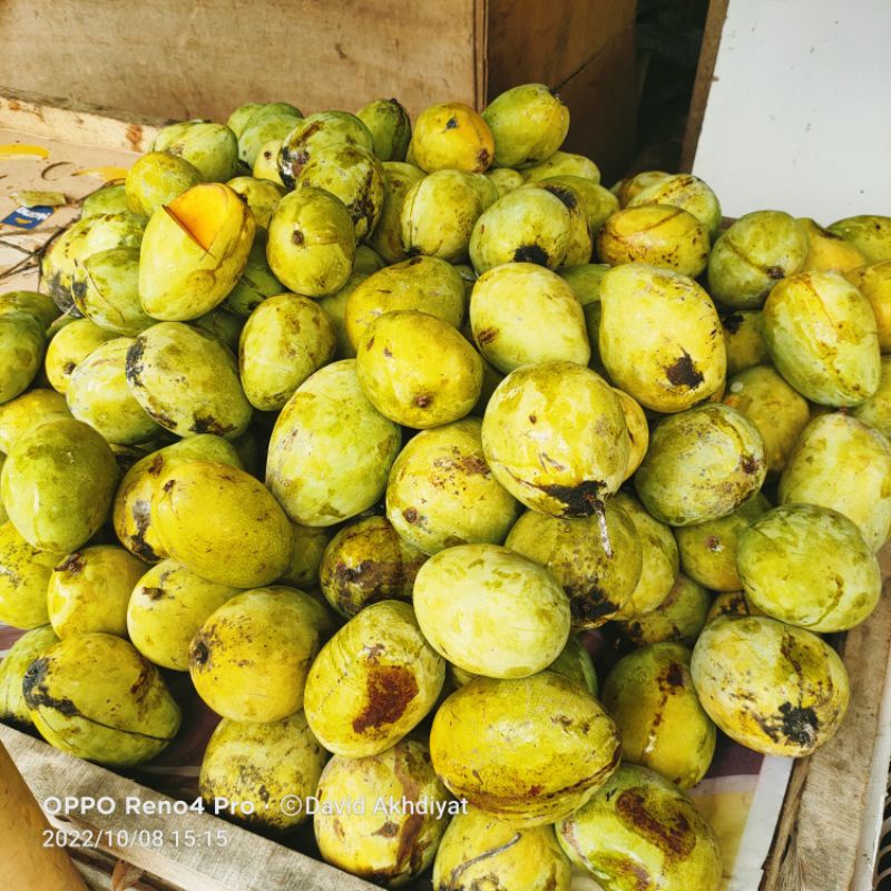 

Mangga Indramayu 900 gram - 1 Kg isi 2/3/4 TERMURAH
