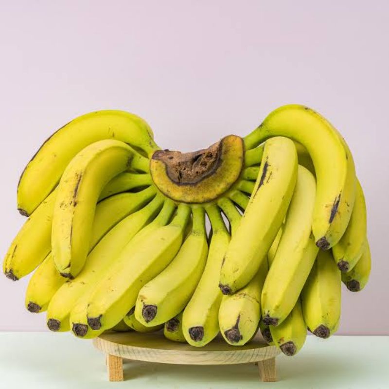 

pisang Ambon lumut