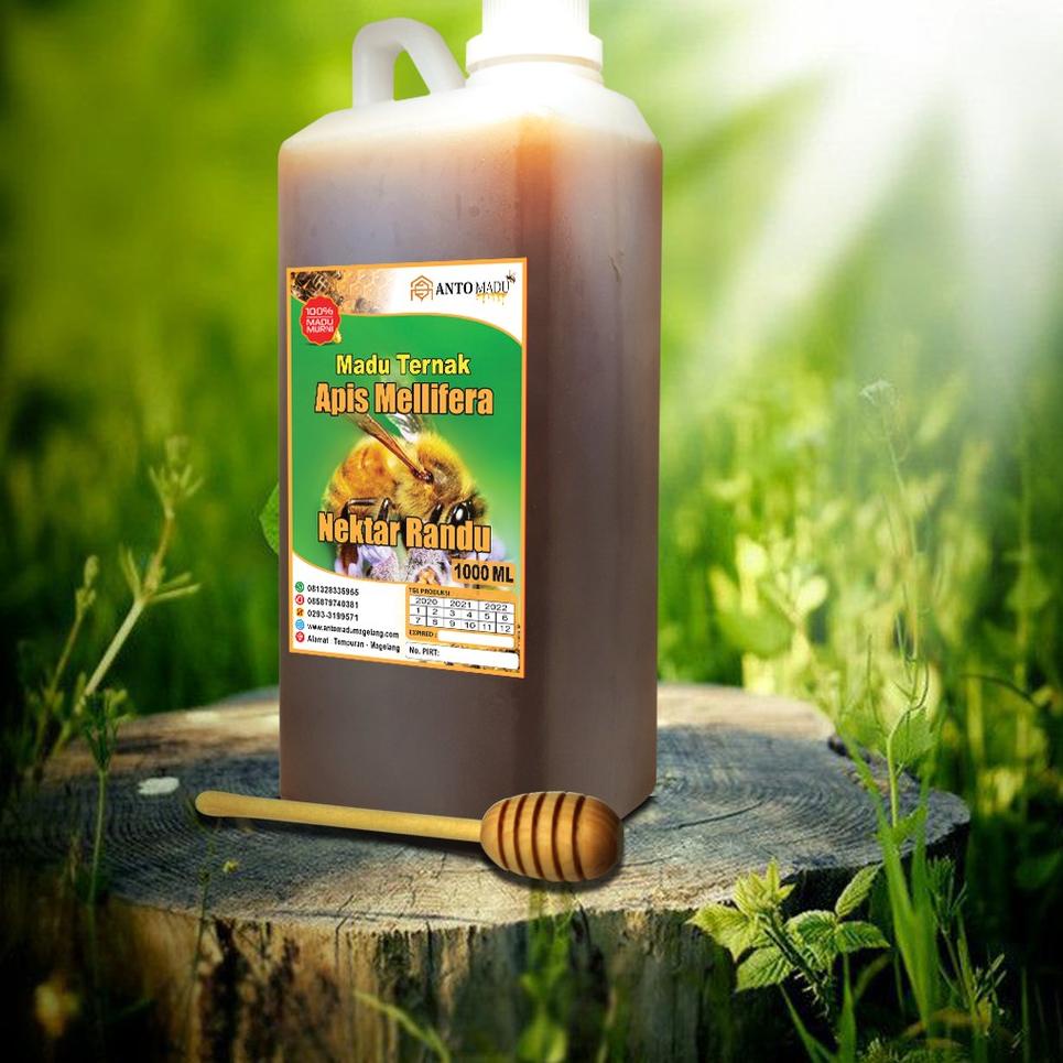 

Terkini ANTO MADU TERNAK 1 ML | ANTO MADU MAGELANG 73