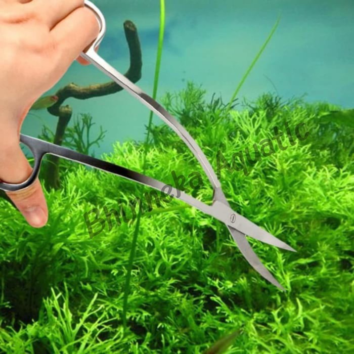 

Mantap Wave Scissors / Gunting Gelombang/Ombak Untuk Aquascape Murah