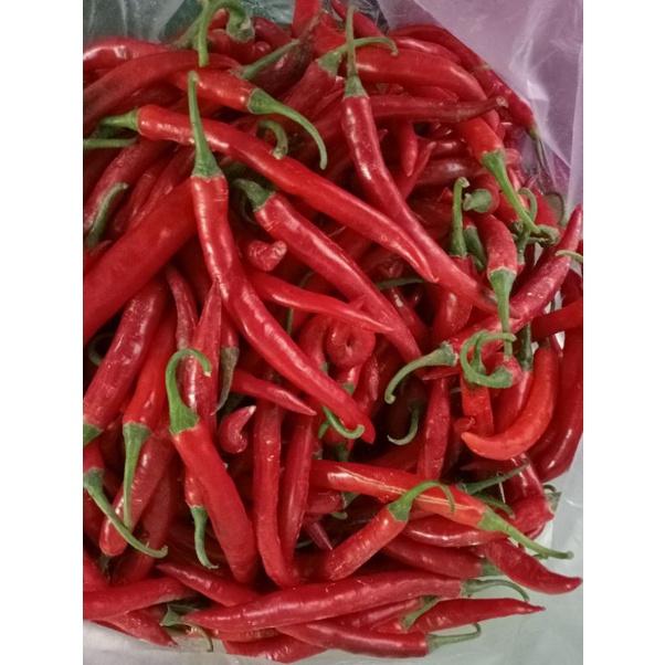 

LOMBOK MERAH GEDE 100 gr LANGSUNG DARI PETANI