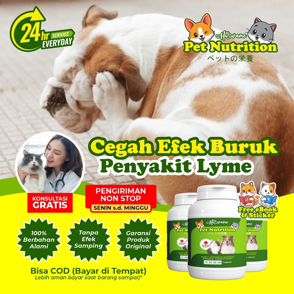 Jual Hewane Pet Nutrition Mencegah Efek Buruk Dari Penyakit Lyme Pada