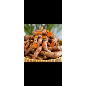 

kunir bubuk kunyit bukan jahe bawang oregano