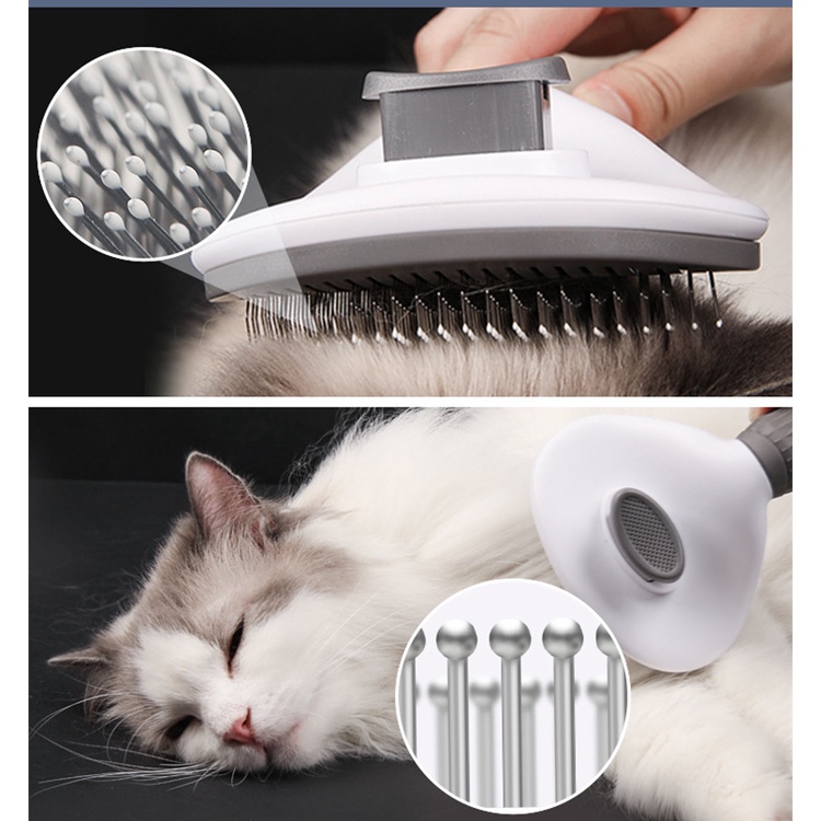 Sisir kucing sisir bulu kucing isir kucing bulu rontok