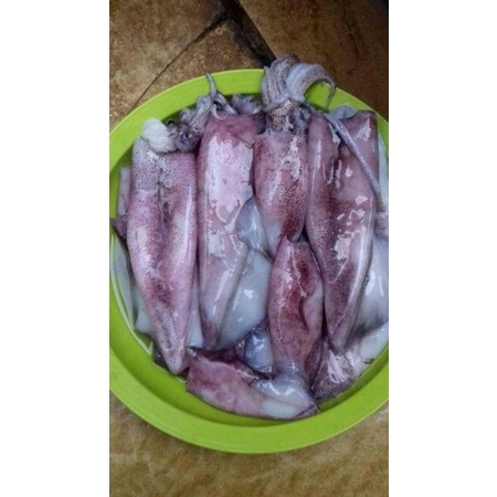 

Cumi kondom jumbo 1kg isi 4-5