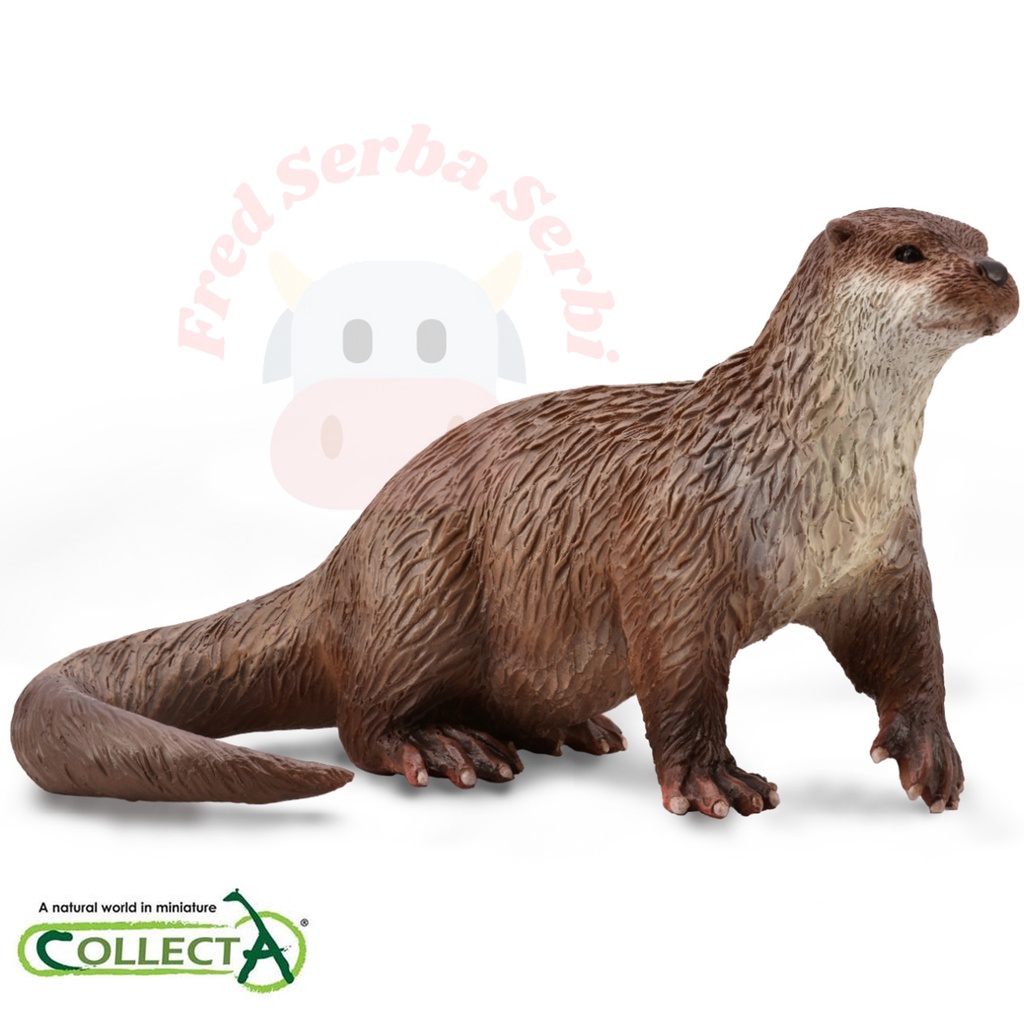 CollectA - Common Otter 2021
