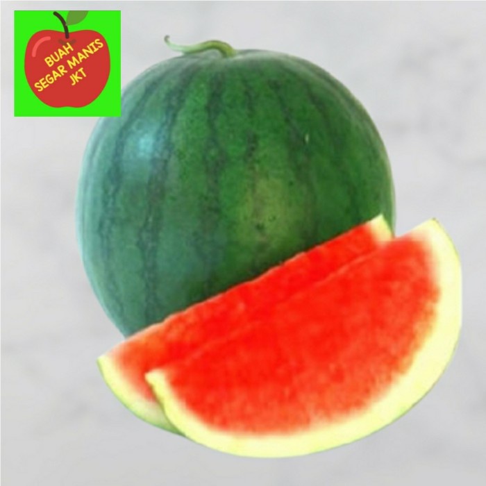 

SEMANGKA MERAH TANPA BIJI HARGA / BUAH