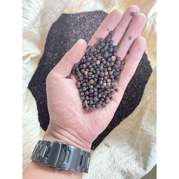 

LADA HITAM BIJI / BLACK PEPPER PREMIUM QUALITY 1kg