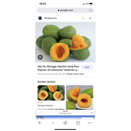 mangga gadung