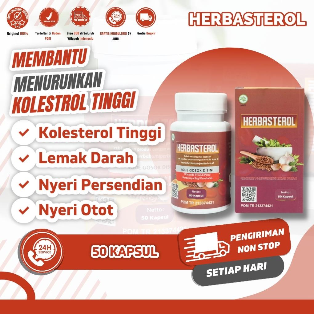 Jual Obat Kolesterol HERBASTEROL Obat Herbal Penurun Kolestrol Tinggi