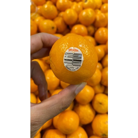 

jeruk summerina mandarin Australia juicy & seedless 1 kg