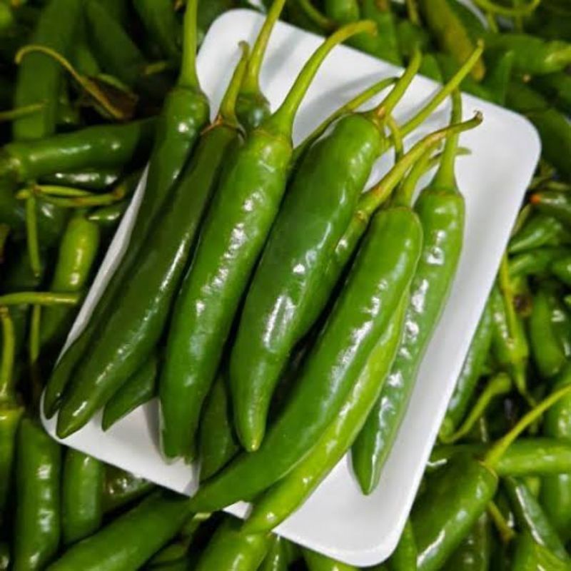 

CABE BESAR HIJAU