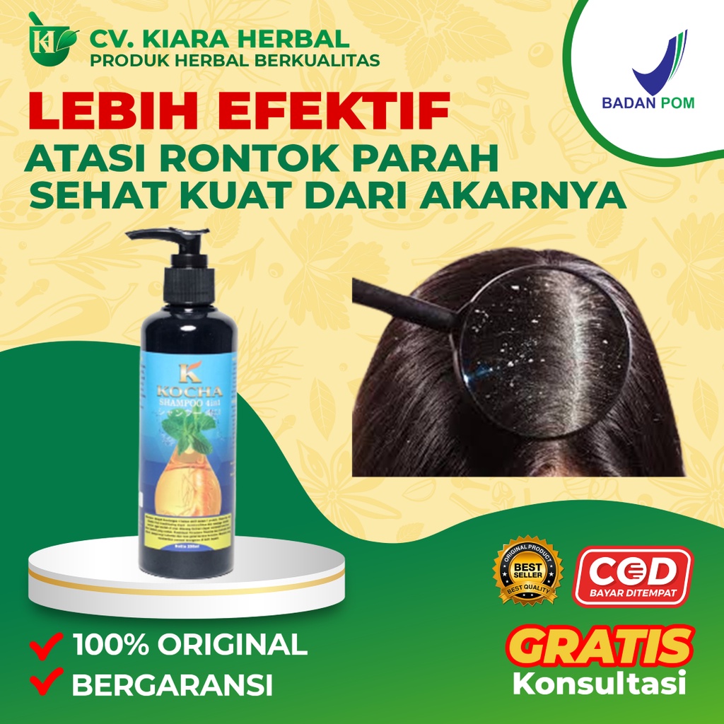 Jual Shampoo Anti Ketombe dan Rambut Rontok Paling Ampuh Kocha BPOM