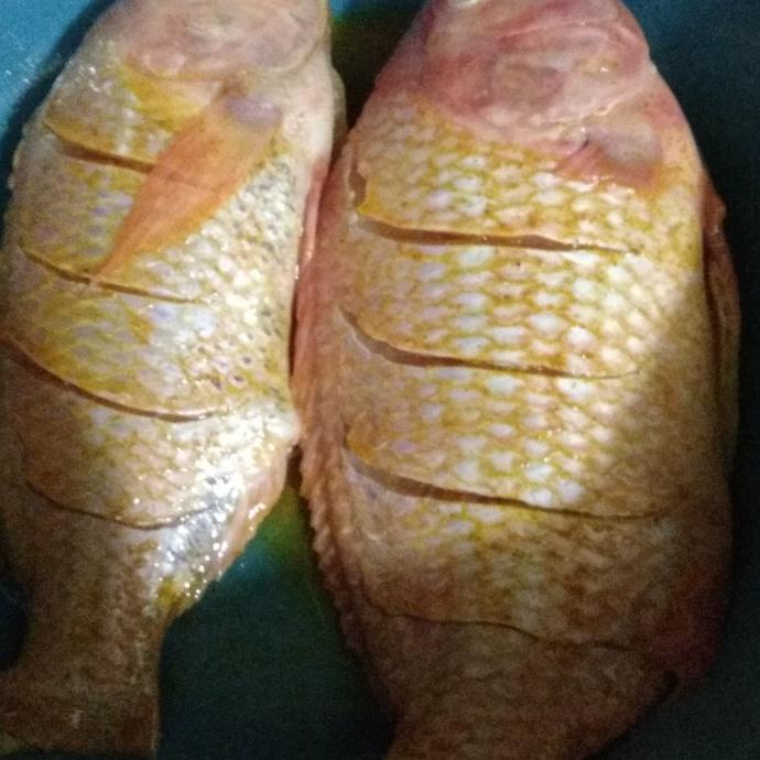 

Ikan Nila Bumbu Kuning Segar 500gr 1kg - Buana Bibit Nila