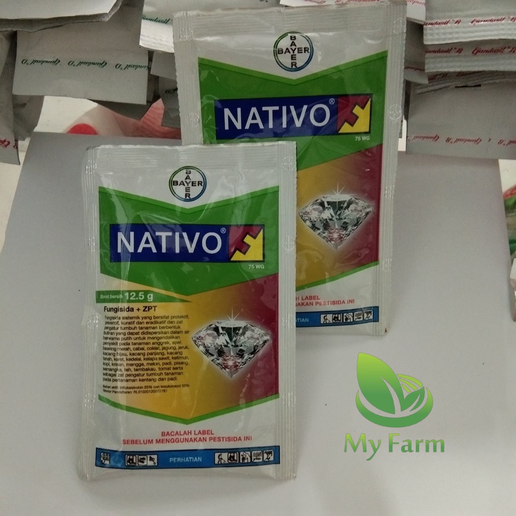 Fungisida Nativo 12.5Gr. Bahan Aktif:Trifloksistrobin 25% Dan Tebukonazol 50%