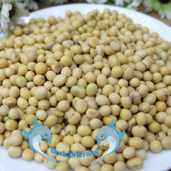 

Buy here--Kacang Kedelai Super SUPER 1KG / Kacang Kedele IMPORT AMERIKA