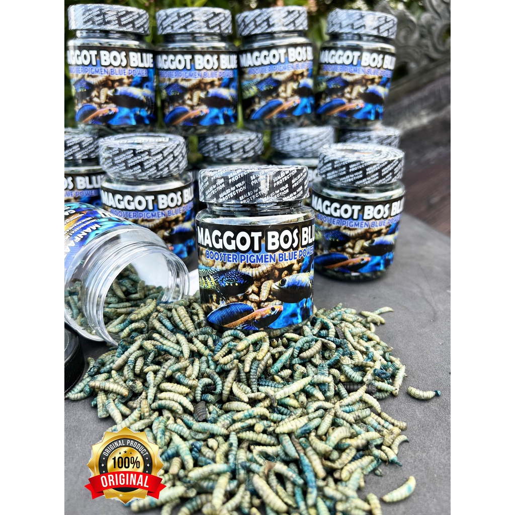 MAGGOT BLUE (BIRU) @BOS BOS QU GRADE A+ FREE STIKER 30 GRAM