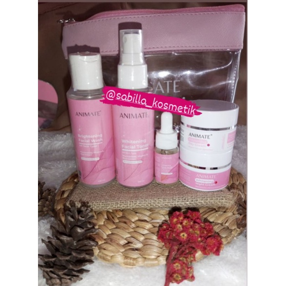 Jual PAKET SKINCARE WHITENING 5IN1 ANIMATE FREE POUCH (PINK) | Shopee