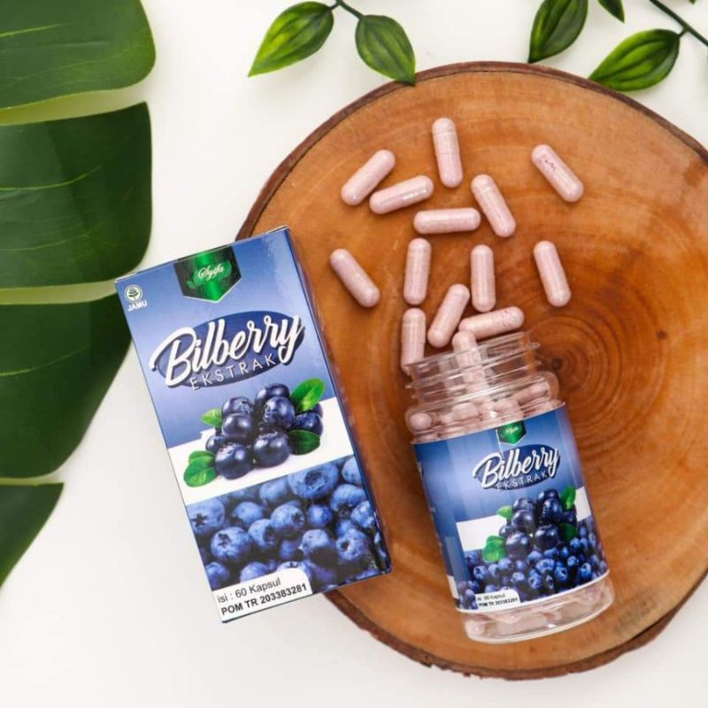 Jual EKSTRAK BILBERRY SYIFA 60 KAPSUL ORIGINAL Shopee Indonesia