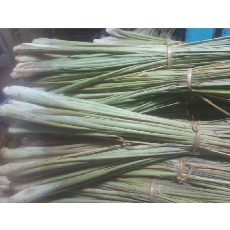 

Sereh Segar di ambil setelah pesanan masuk