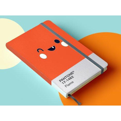 

Pita Agenda Atau Karet Agenda