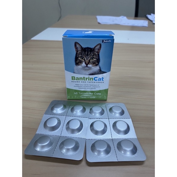bantrin cat obat cacing kucing - bukan drontal cat - obat cacing original
