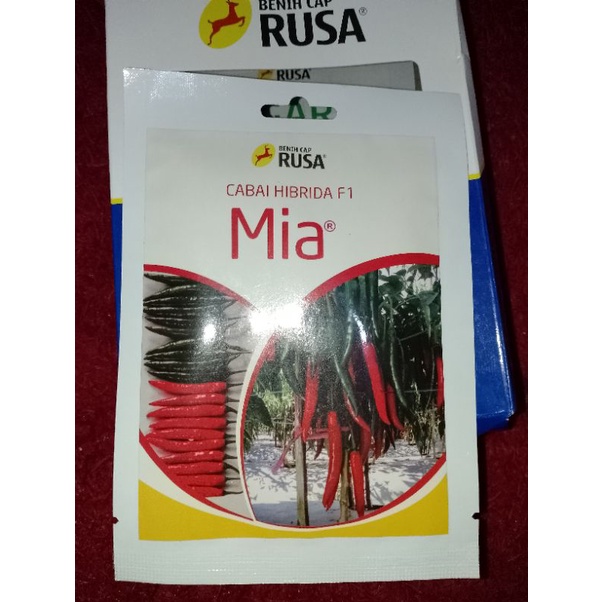 Benih bibit cabe merah besar MIA F1 benih cap rusa