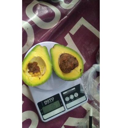 

Murah ✥ ALPUKAT/ALPUKET MENTEGA DARI BOYOLALI 1KG ISI 2/3/4 BIJI ✄ Diskon