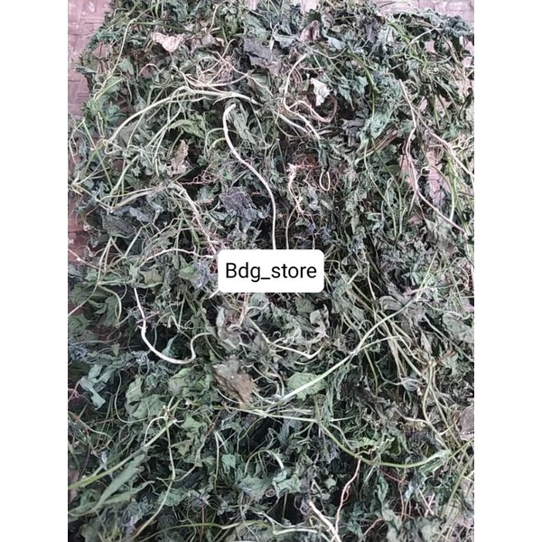 

daun pare hutan mini kualitas original KERING