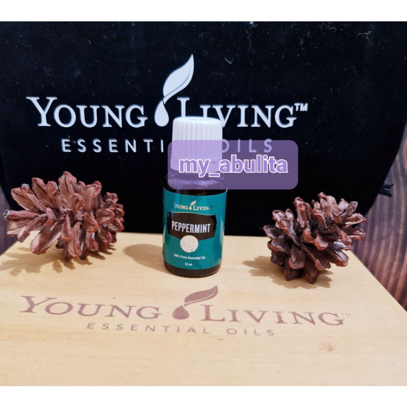 YLeo YL 15ml Essential Oil Peppermint