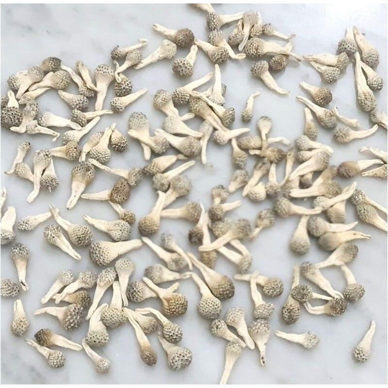 

COD Ramuan Herbal Minyak Samsu