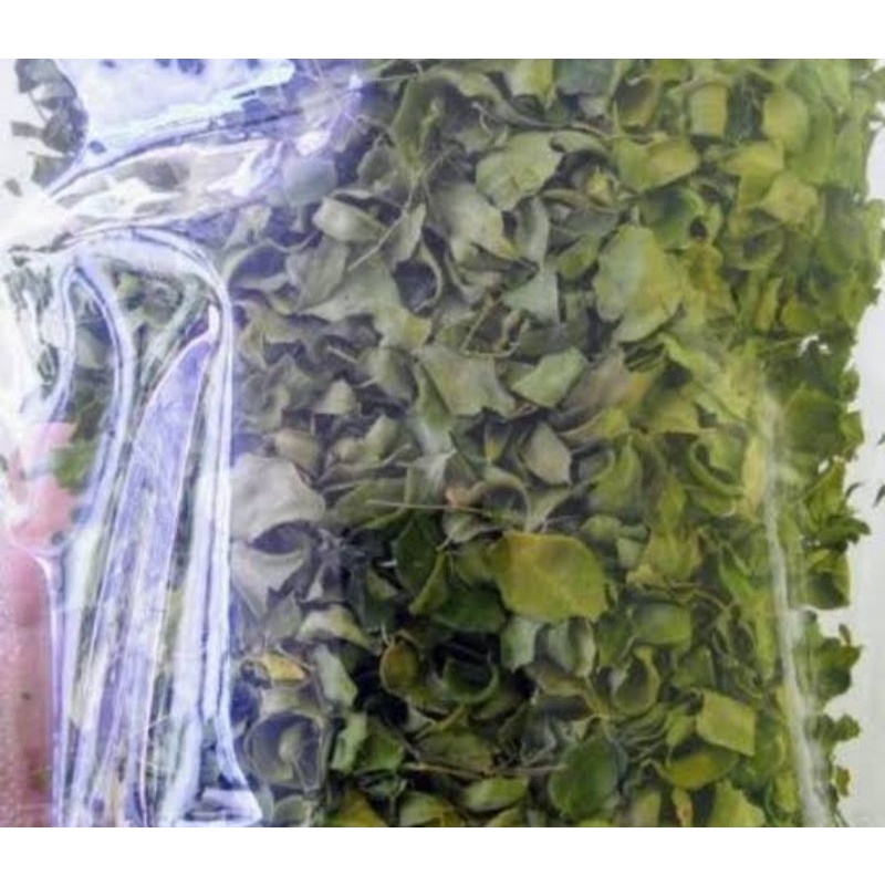 

daun kelor kering