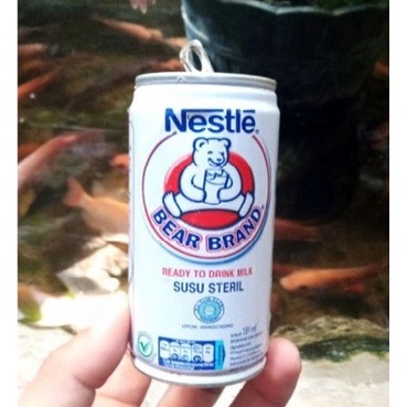 Kaleng Bear Brand  Bekas Untuk Kerajinan + Dus / Bubble Wrap