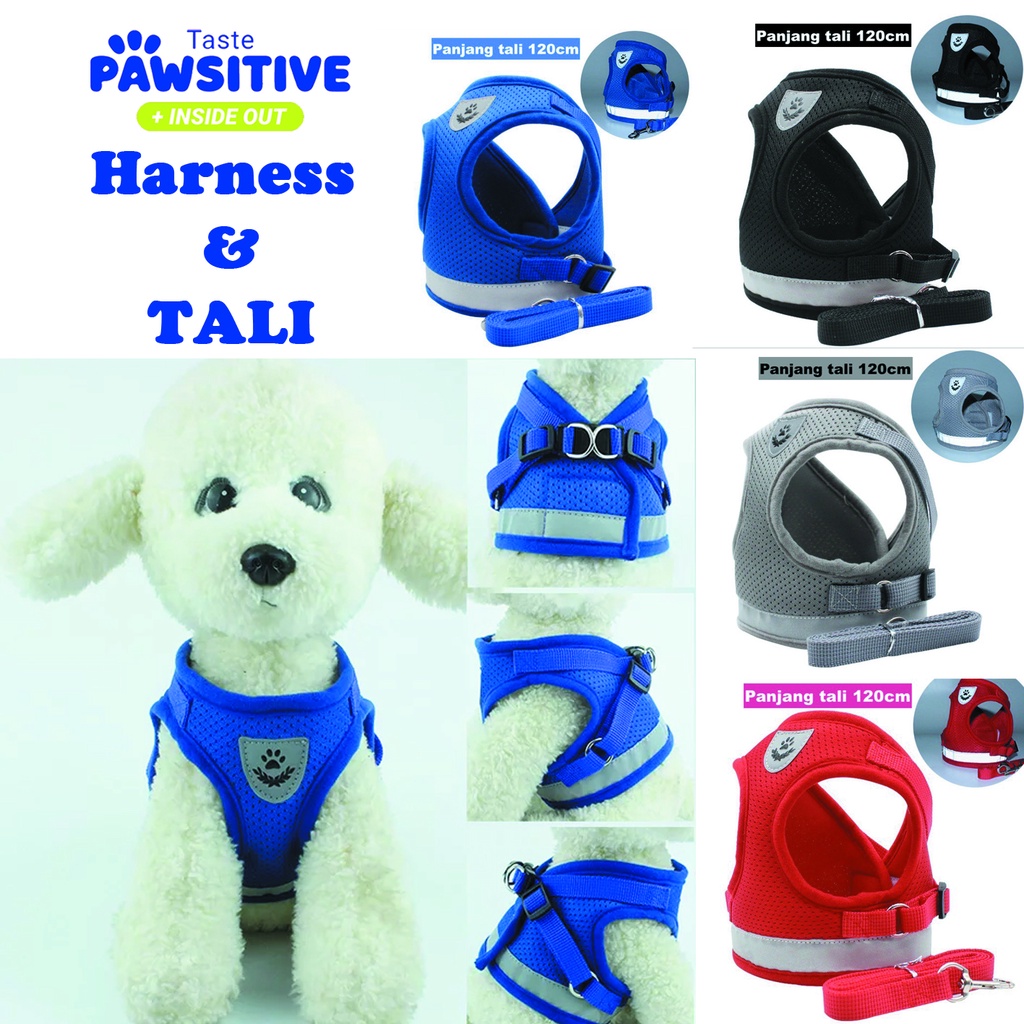 Tali Kucing Harness Anjing Kucing TALI TUNTUN KUCING TALI Anjing HARNESS KUCING ROMPI BAJU KUCING
