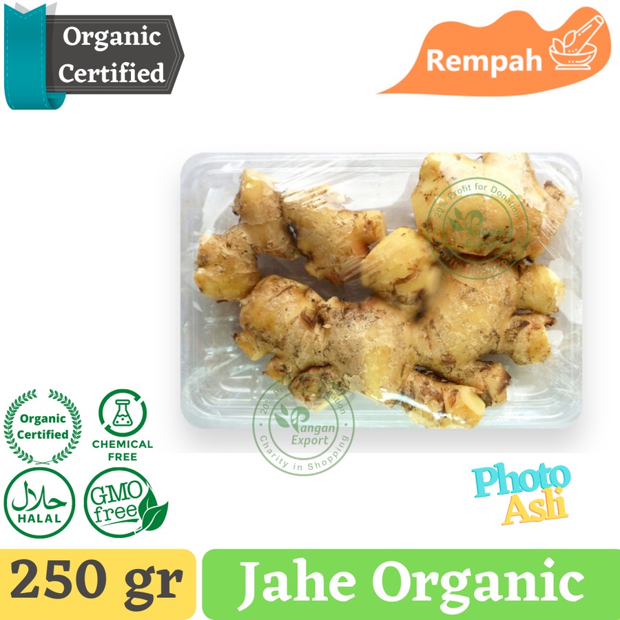 

Jahe Putih / White Ginger Bumbu Rempah Dapur Masak by Pangan Export