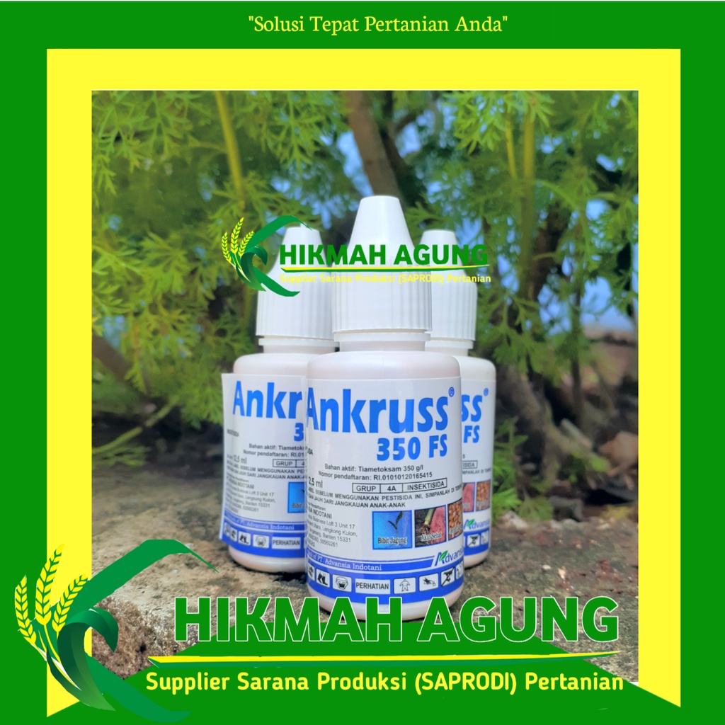 

Ankruss 350 FS 12,5 ml |Insektisida treadment untuk Benih