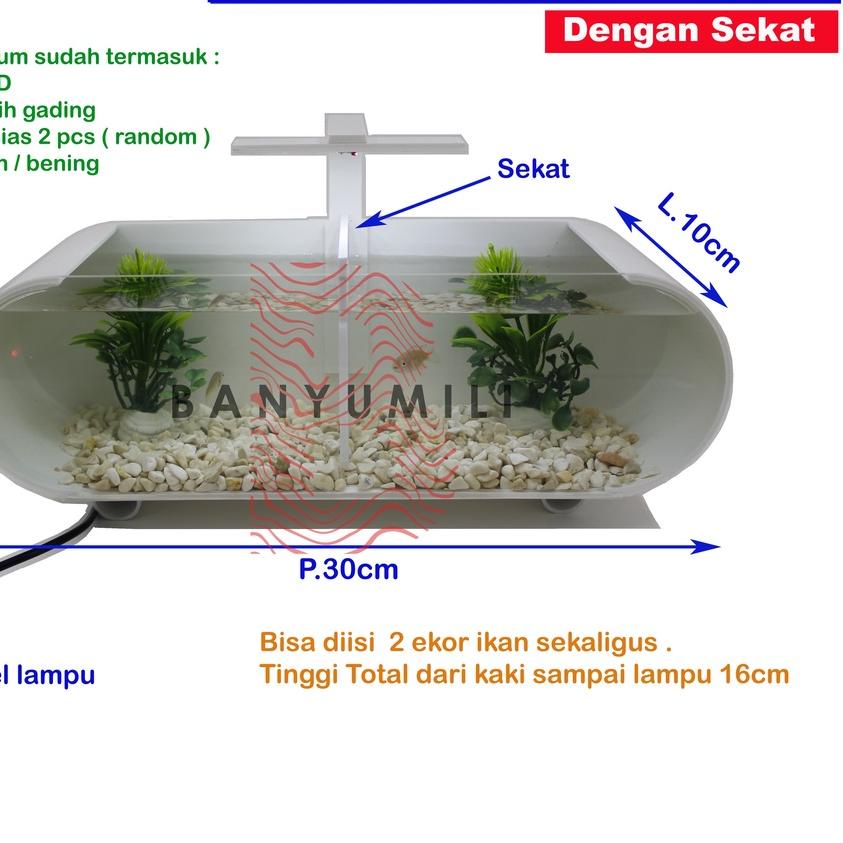GRATIS ONGKIR✅aquarium / aquarium mini / aquarium mini + sekat / aquarium akrilik + sekat|KD6