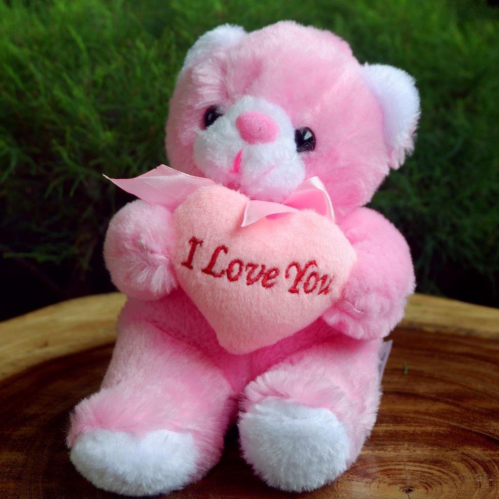 Boneka I Love You Buat Pacar - Boneka Teddy Bear Love S