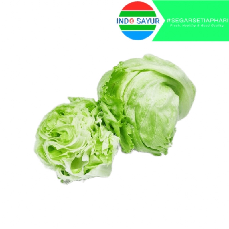 

Head Lettuce / Baby Kol 250gr