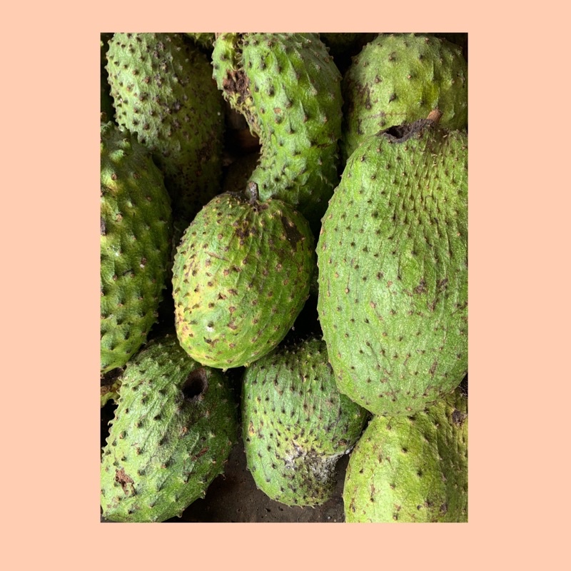 

Sirsak / Buah sirsak