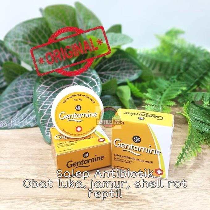 Gentamine Salep Obat Antibiotik Reptil Luka Jamur Shell Rot Iritasi
