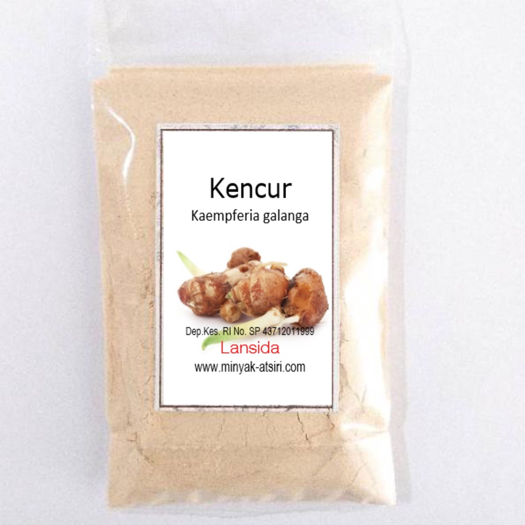 Bubuk Kencur 1 Kg Galangal Powder Simplisia Bubuk Kaempferia galanga 1000 gram