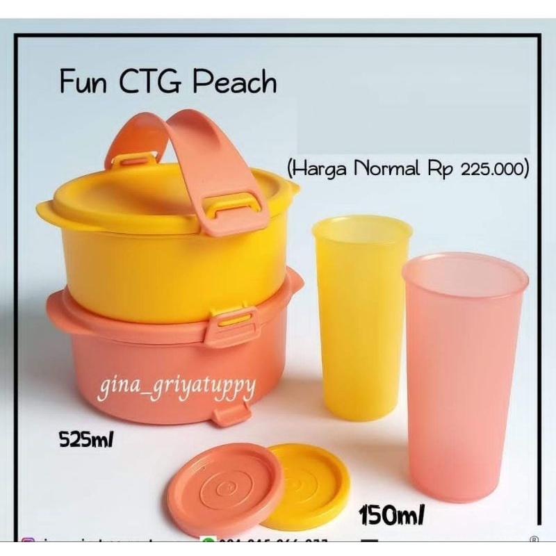 Tupperware fun CTG peach -kotak bekal anak - botol minum set