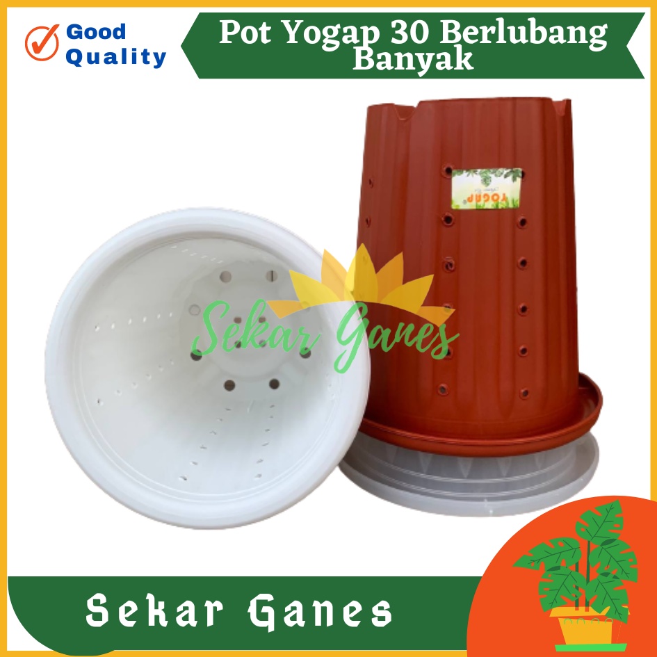 TERMURAH Pot Yogap 30 BERLUBANG Putih Bening Transparan Merah Bata Merah Coklat Terracota Terracotta-POT BUNGA YOGAP YPT 13 BERLUBANG BENING / TRANSPARAN PUTIH &amp; MERAH BATA | POT TANAMAN HIAS