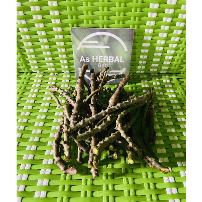 Brotowali segar / batang brotowali 500 gram