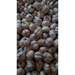 

Good Order--Bawang Putih Honan 1kg