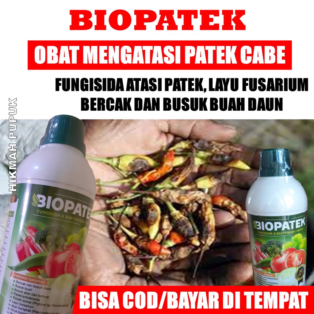 Jual Promo Cod Biopatek Obat Hama Patek Antraknosa Pada Buah Cabe Cabai Paling Bagus Pupuk