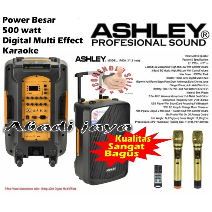 speaker ashley ir500 500 watt multi effecks karaoke ASHLEY IR500 12''
