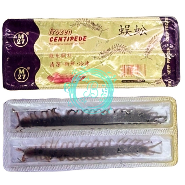 M27 Kelabang Beku Frozen Centipede Pakan Ikan Arwana Predator &amp; Burung